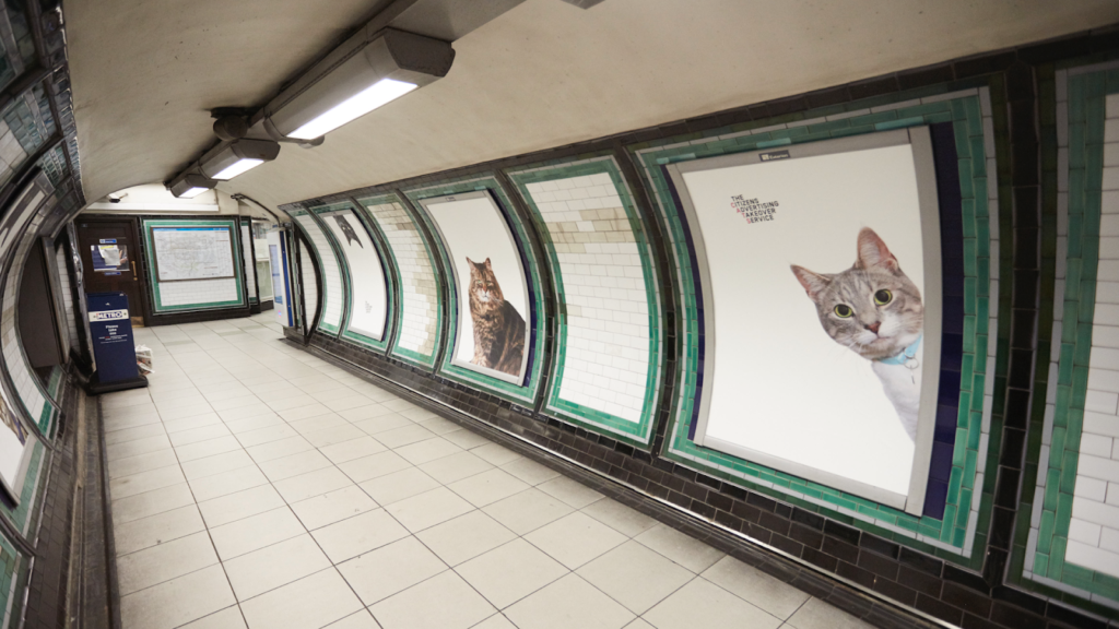 The Citizens Advertising Takeover Service, aka CATS, by Glimpse