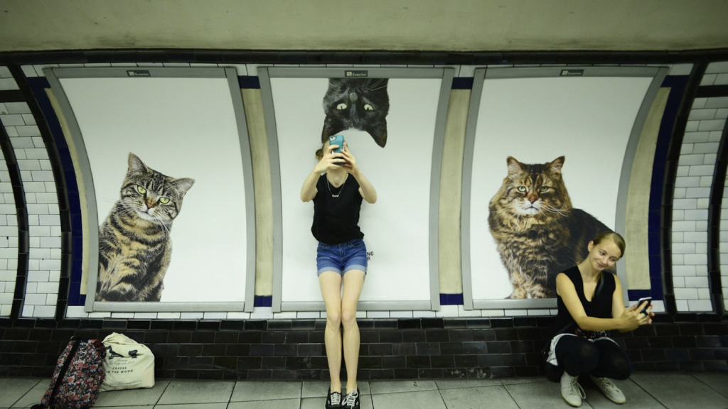 The Citizens Advertising Takeover Service, aka CATS, by Glimpse. Tube tunnel adverts at Clapham Common station line the platform.