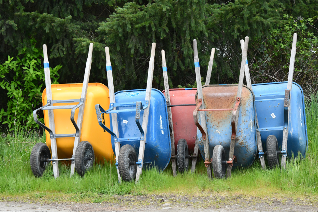 Row of multi-coloured wheel barrows in and outdoor scene.